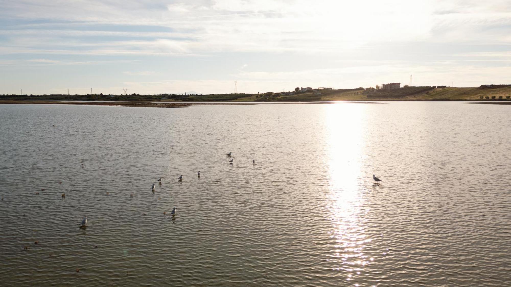Flamingo View Suites Nea Poteidaia Zewnętrze zdjęcie
