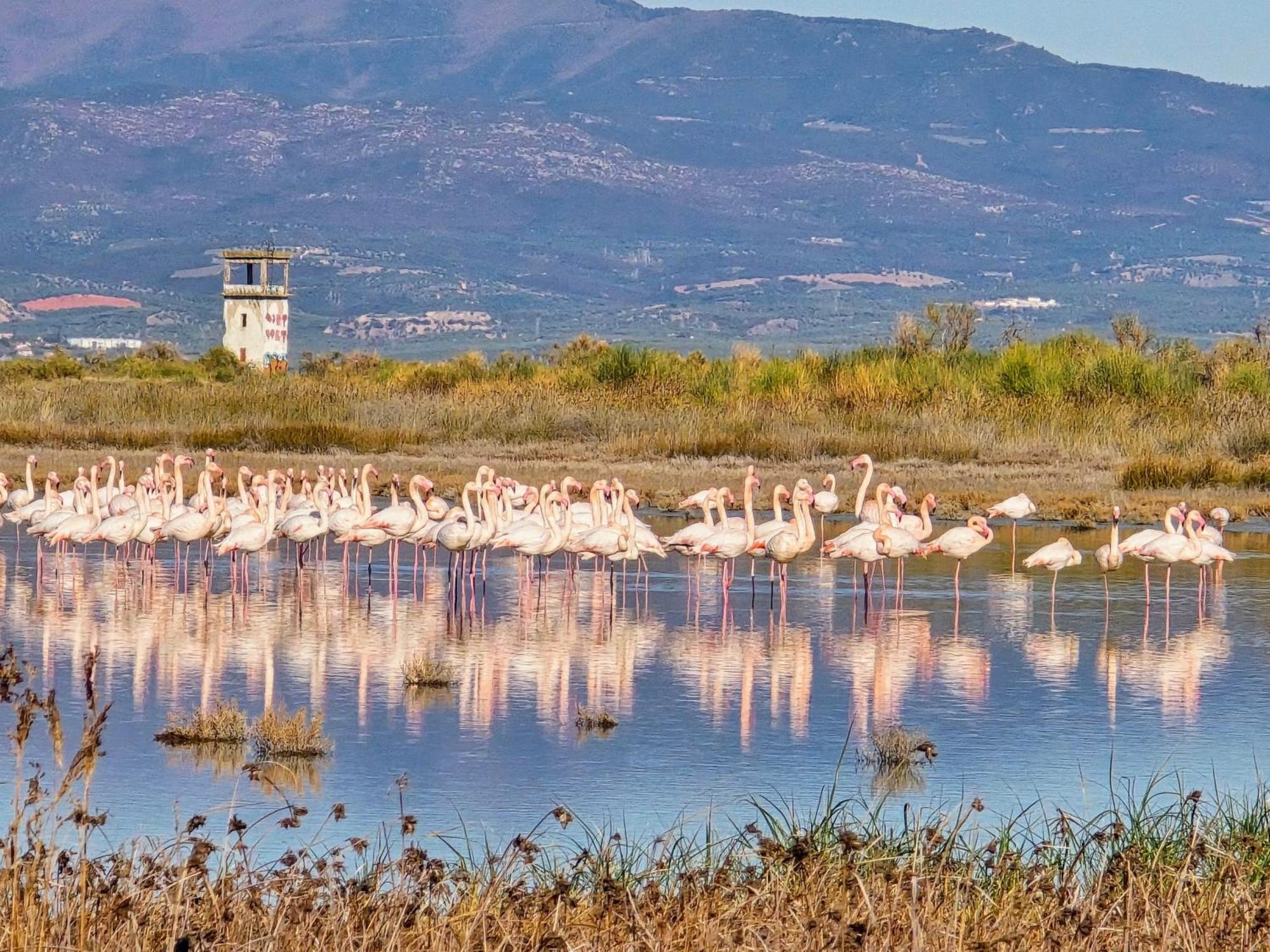 Flamingo View Suites Nea Poteidaia Zewnętrze zdjęcie